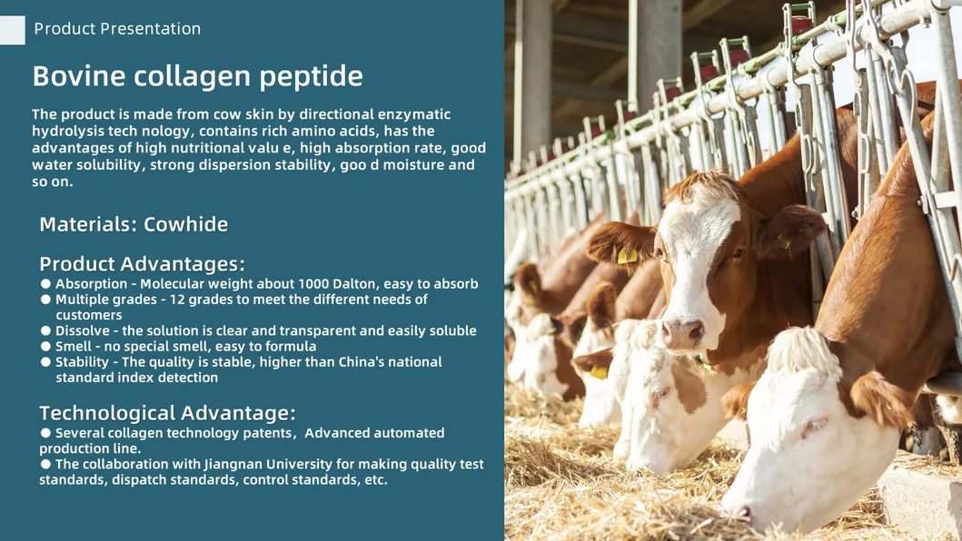 Bovine Collagen Peptides Hydrolized Bovine Collagen Best Healthy Collagen Bovine Collagen for Hair