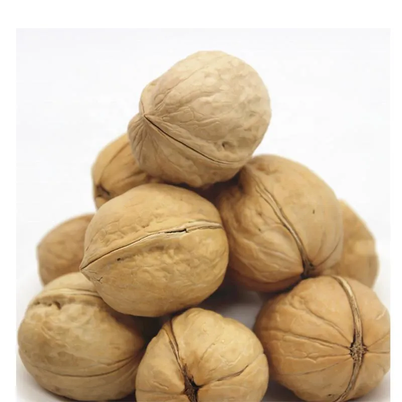 Dried Raw Walnuts in Shell 185 with Paper Shell