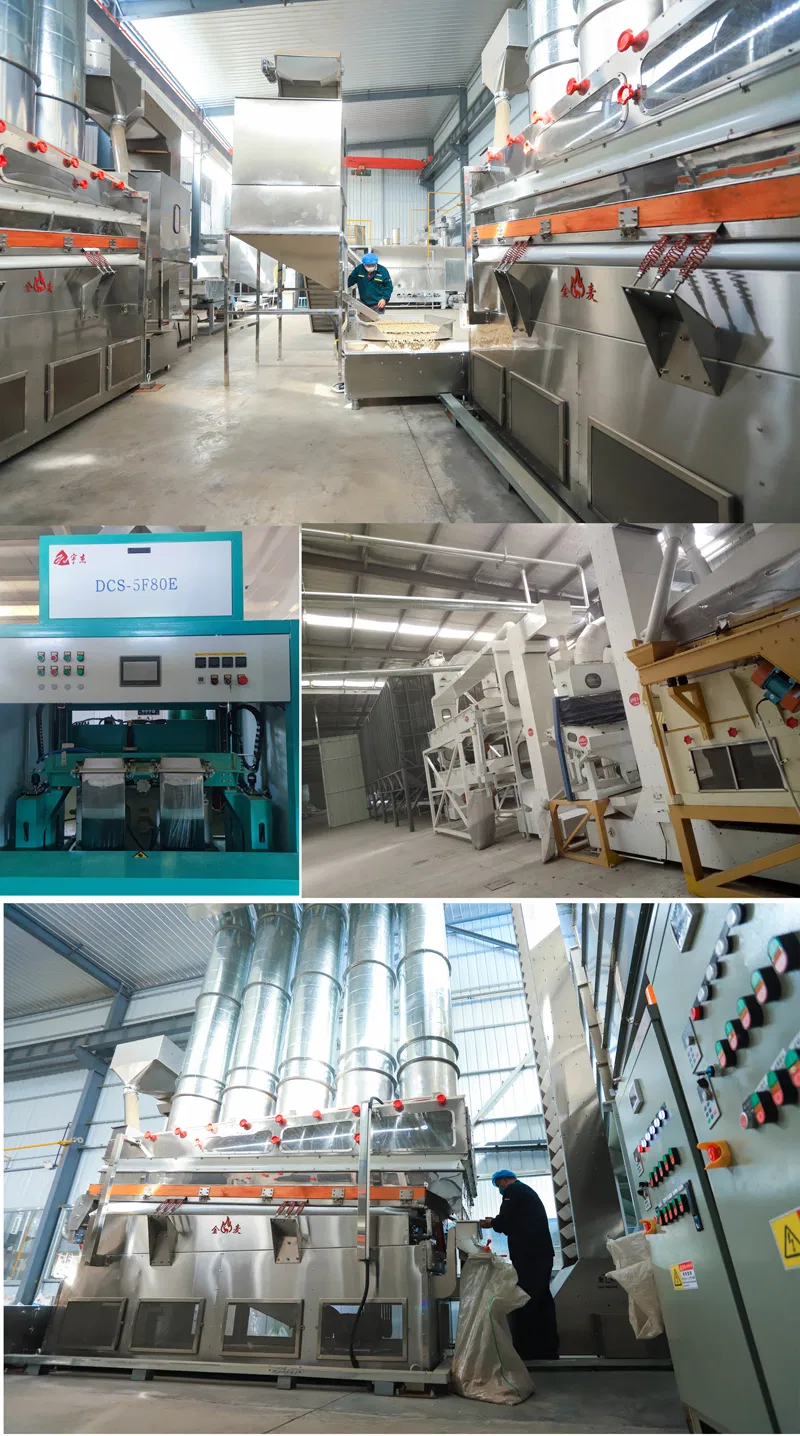 Dried Raw Walnuts in Shell 185 with Paper Shell