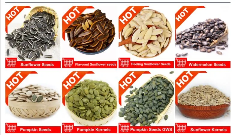 Dried Raw Walnuts in Shell 185 with Paper Shell