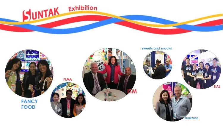 Sugar Free Types Mint Sweets OEM ODM Sugarless Candy Manufacturer Factory