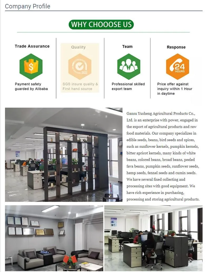 Export High Quality Arabica Green Coffee Beans