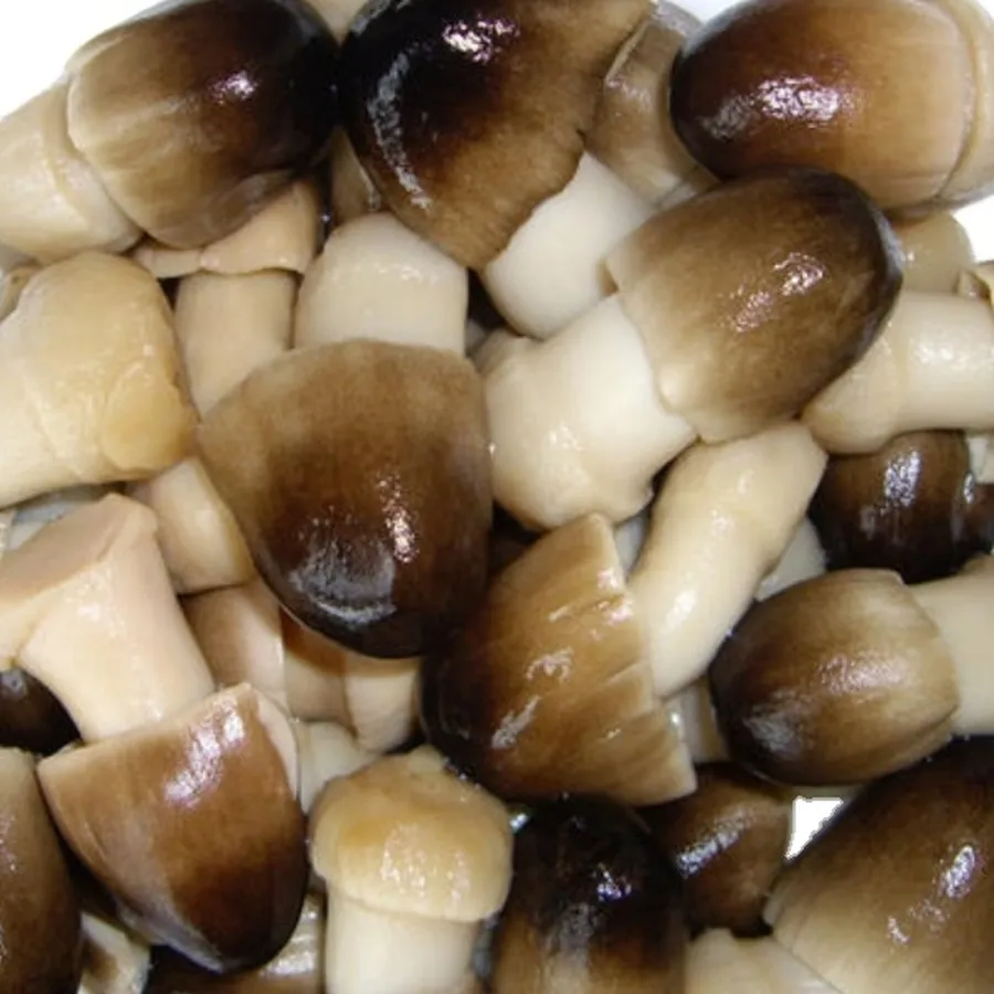 Eco-Friendly Standardized Steamed Canned Straw Mushroom for Fast Food Chains