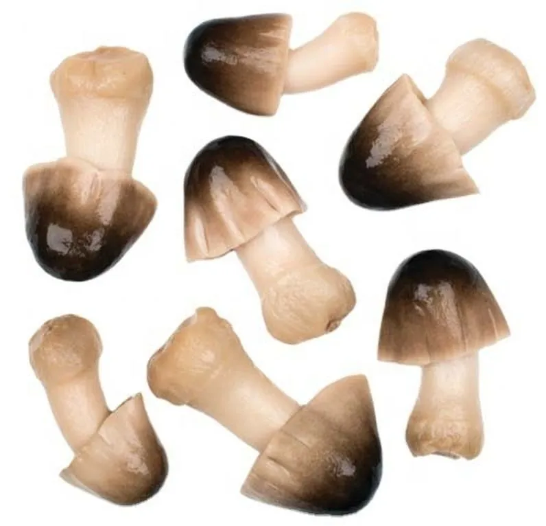 Eco-Friendly Standardized Steamed Canned Straw Mushroom for Fast Food Chains