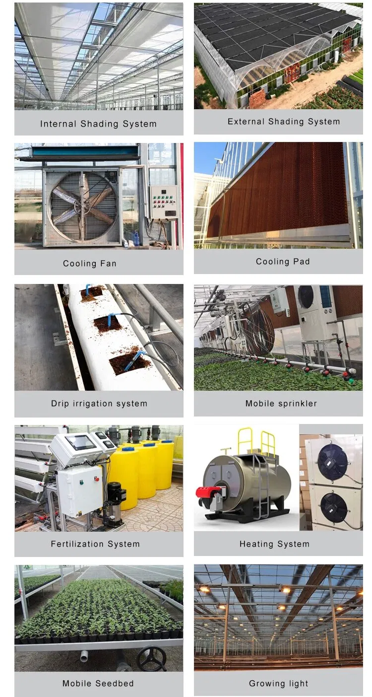 Arch Pipes Plastic Film Agricultural Greenhouse Bestseller