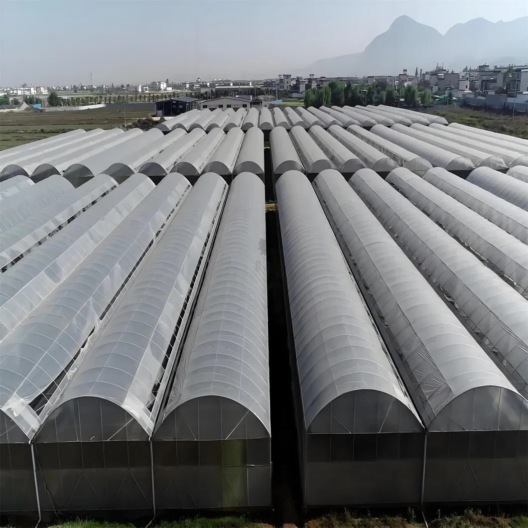 Arch Pipes Plastic Film Agricultural Greenhouse Bestseller