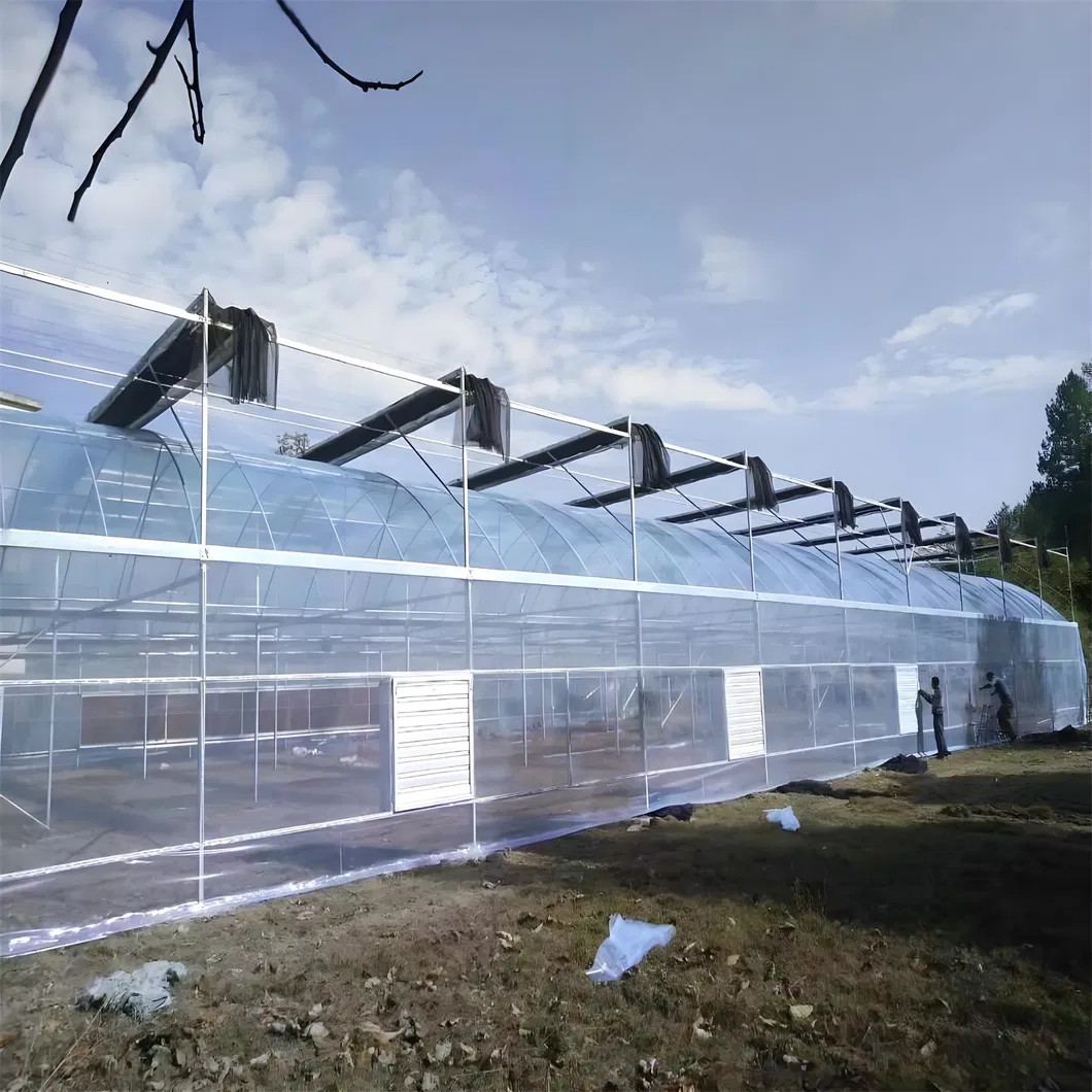 Arch Pipes Plastic Film Agricultural Greenhouse Bestseller