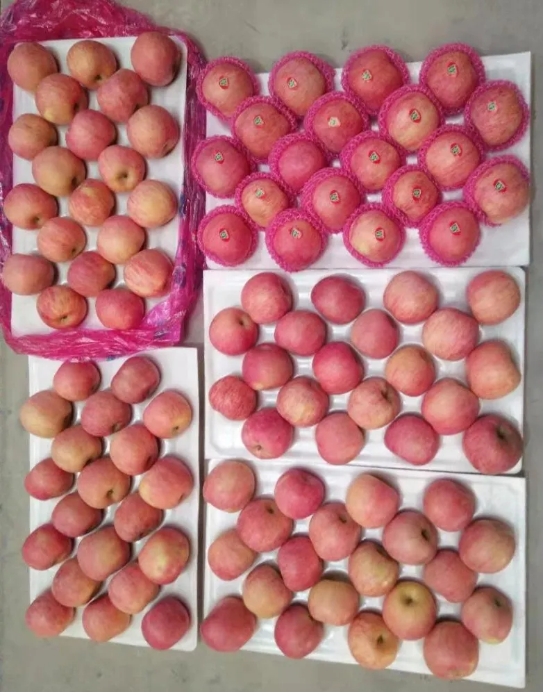 High Mountain Plastic Bagged FUJI Apple Weatern Apple