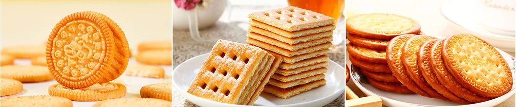 Bulk Weighing Crisp Butter Cracker Butter Scallion Biscuit in Stock