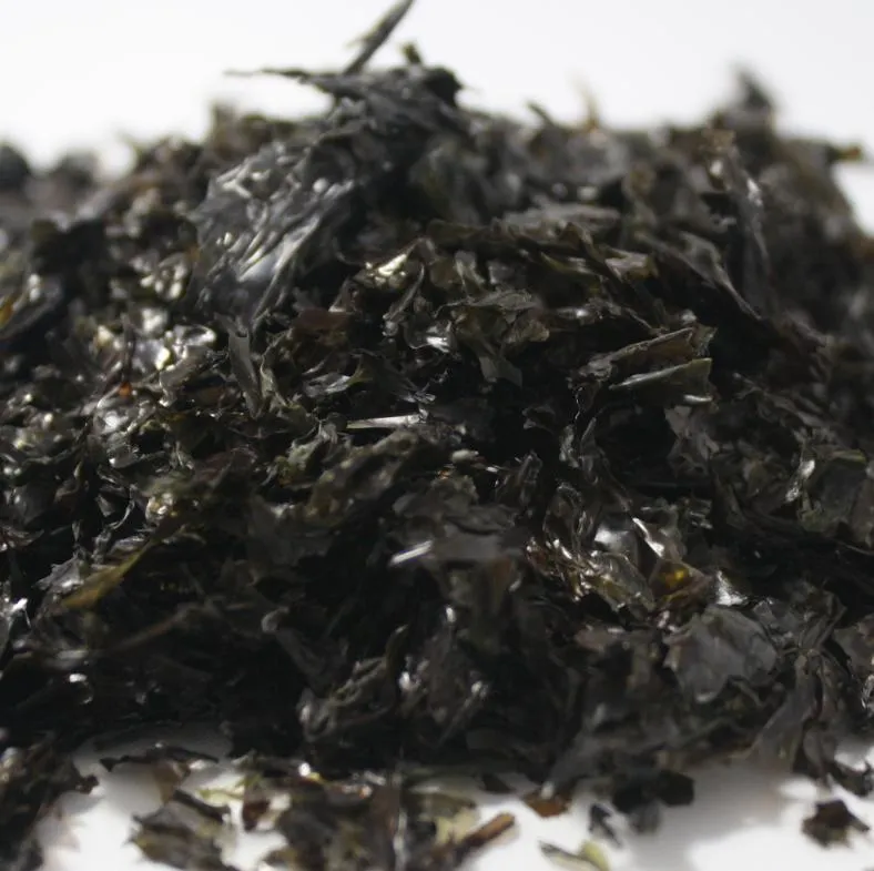 N05 Wholesale Premium Edible Middle Size Dried Undaria Pinnatifida Suringar Wakame Seaweed