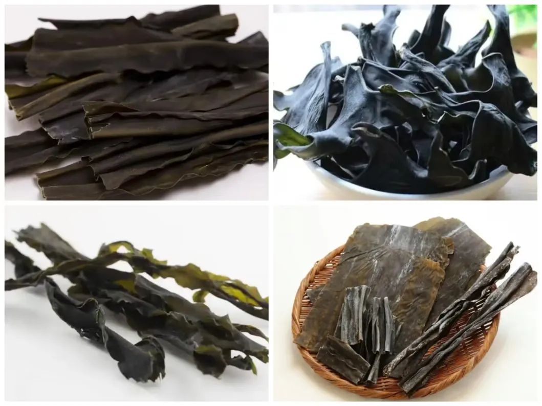 OEM Healthy Food Algae Laminaria Japonica Factory Price Kelp