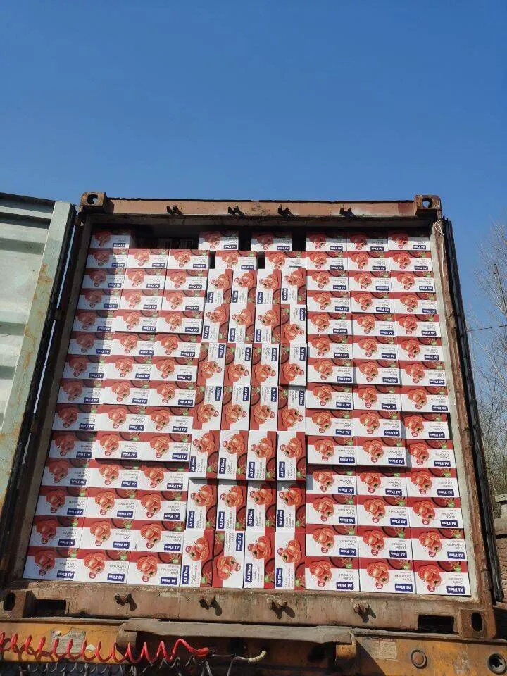 OEM Healthy Food Algae Laminaria Japonica Factory Price Kelp