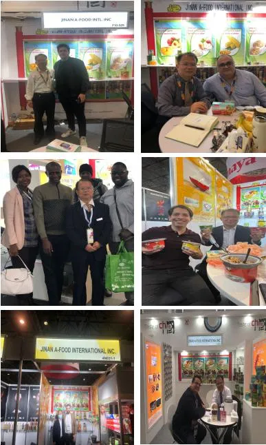 OEM Healthy Food Algae Laminaria Japonica Factory Price Kelp