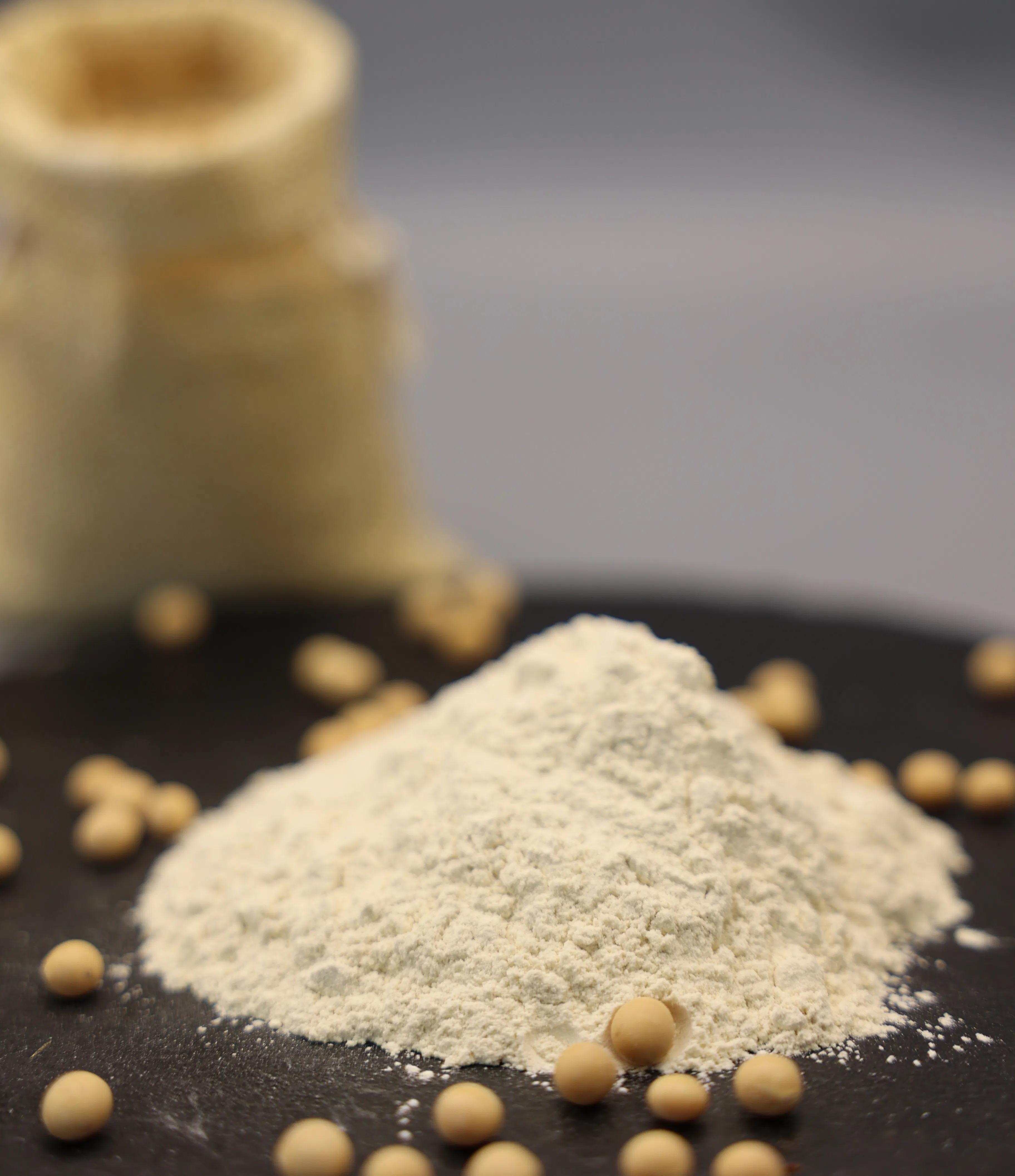 High Grade Nutritional Food Grade Food Ingredient Supplement with Certification Soy Protien Powder Isolate for Sausages Food Additive