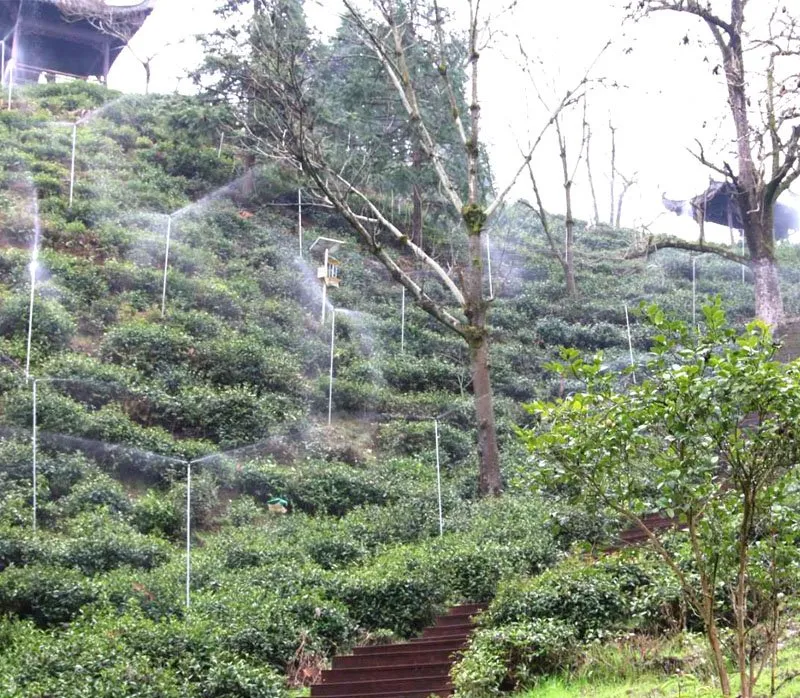 China Anhui Keemun Black Tea 1121 Best Price Wholesale EU From Qimen Huangshan