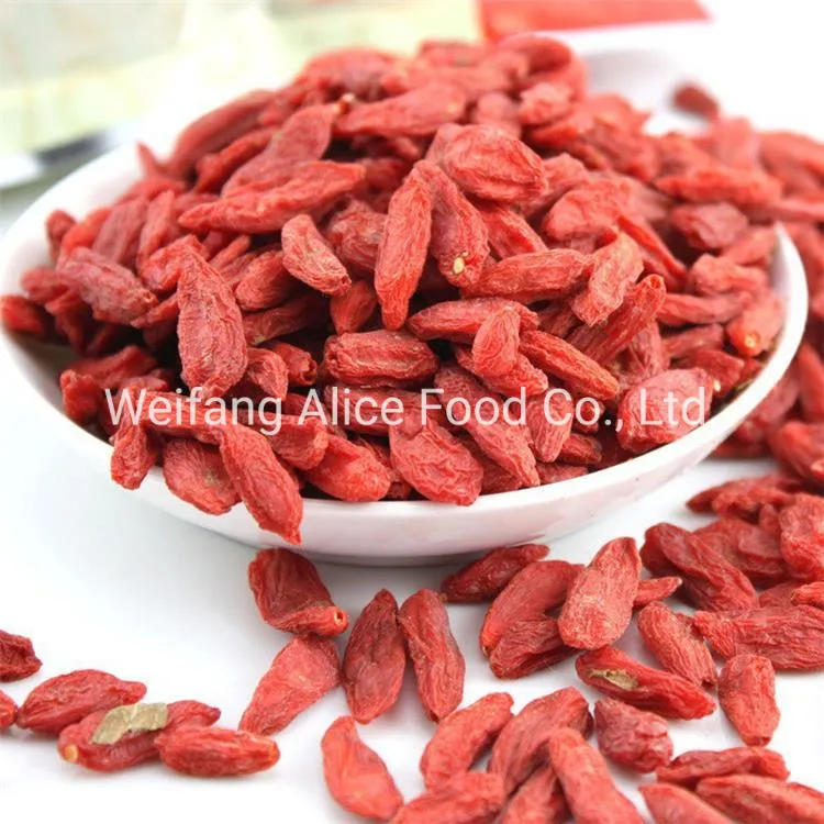 Ningxia China Goji Berry Healthy Food Dried Goji Berry