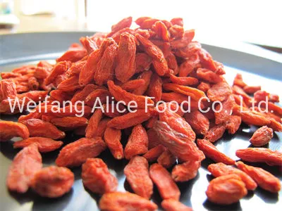 Ningxia China Goji Berry Healthy Food Dried Goji Berry