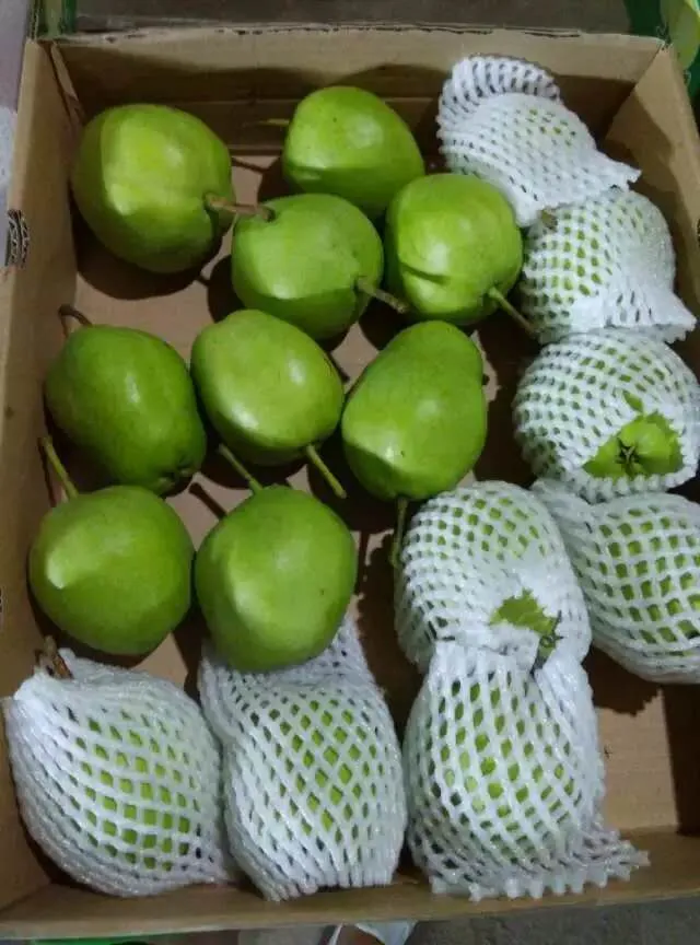 Top Quality with Best Price Chinese Fresh Sweet Ya Pear Fruit