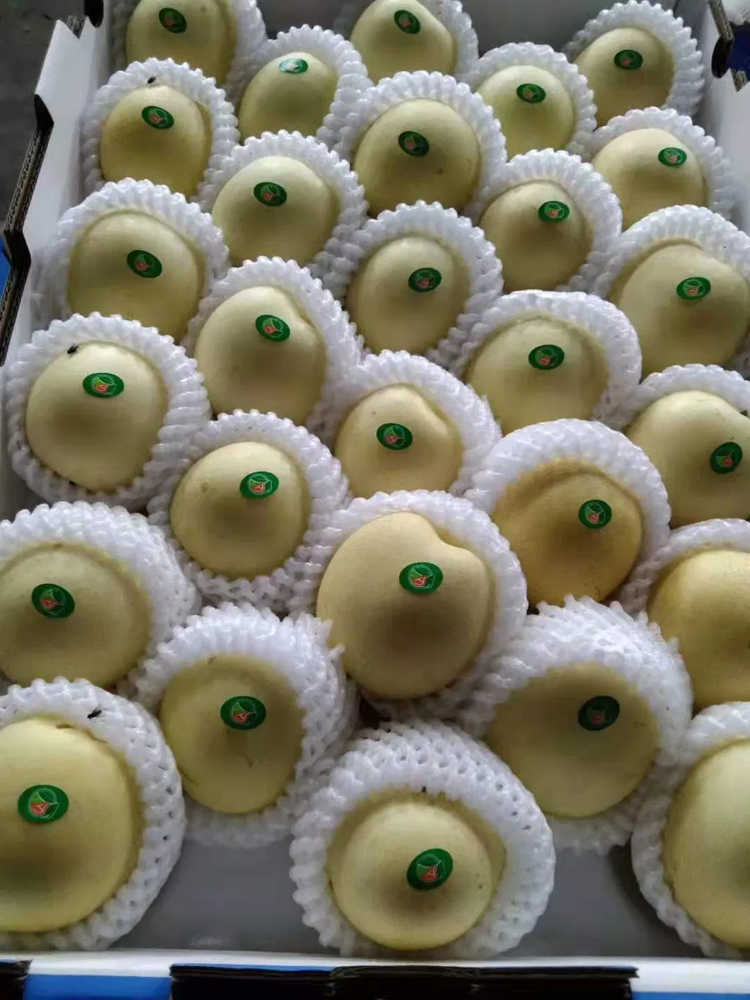 Top Quality with Best Price Chinese Fresh Sweet Ya Pear Fruit