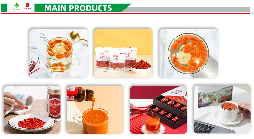 Organic Goji Berries Dried Fruit for Healthy Life at Affordable Prices