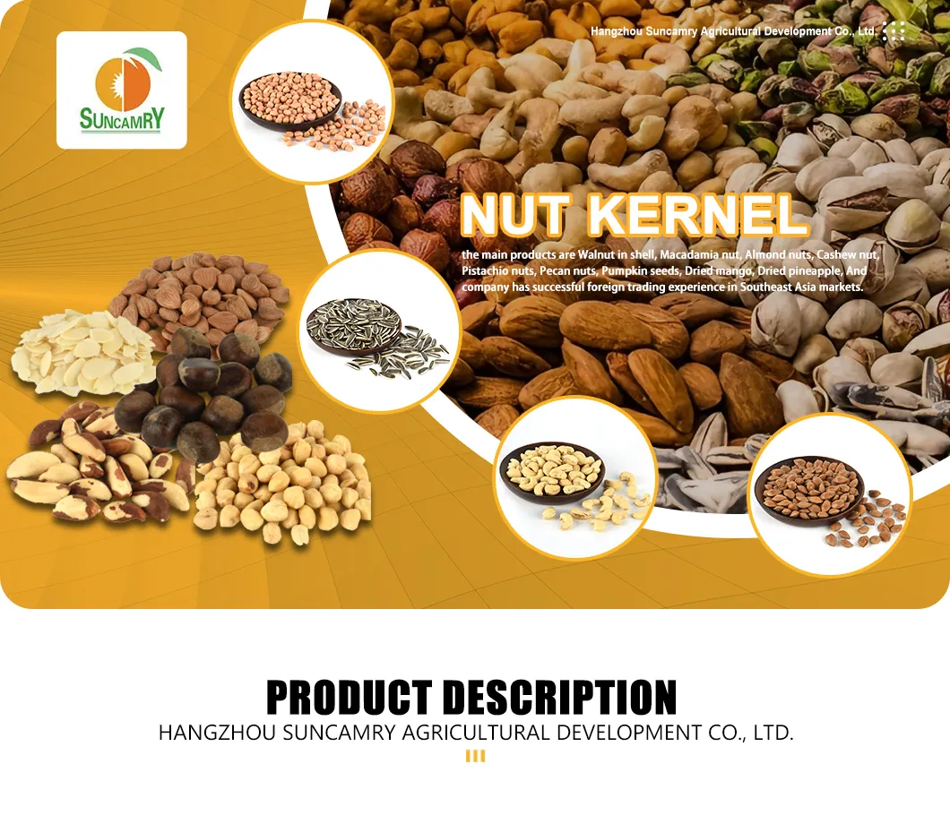 High Quality Watermelon Seeds and Kernels From Factory Competitive Price