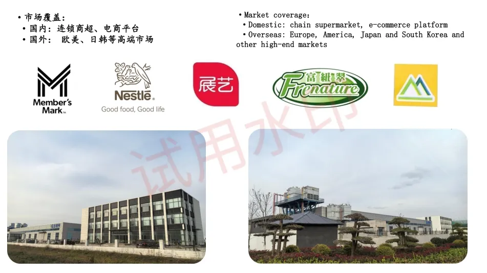 High Quality Watermelon Seeds and Kernels From Factory Competitive Price