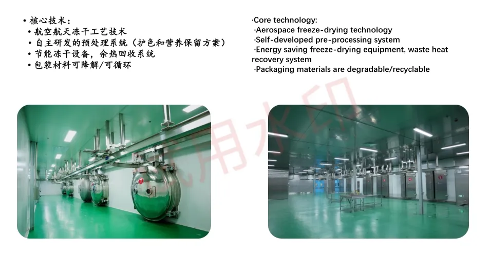 High Quality Watermelon Seeds and Kernels From Factory Competitive Price