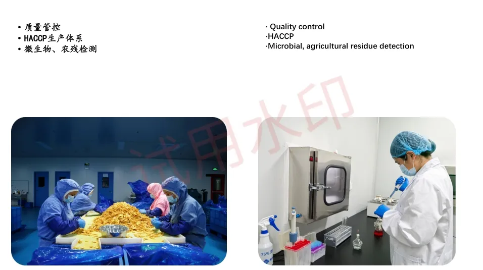 High Quality Watermelon Seeds and Kernels From Factory Competitive Price