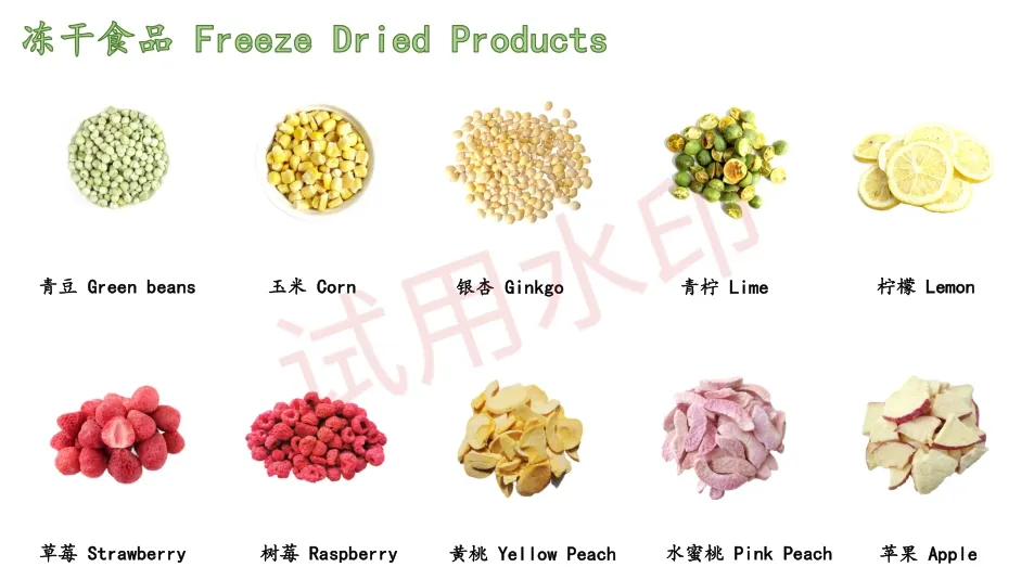 High Quality Watermelon Seeds and Kernels From Factory Competitive Price