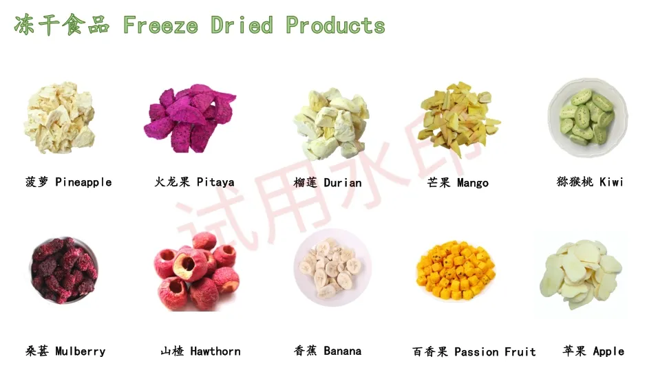 High Quality Watermelon Seeds and Kernels From Factory Competitive Price