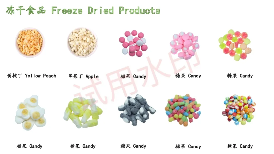 High Quality Watermelon Seeds and Kernels From Factory Competitive Price