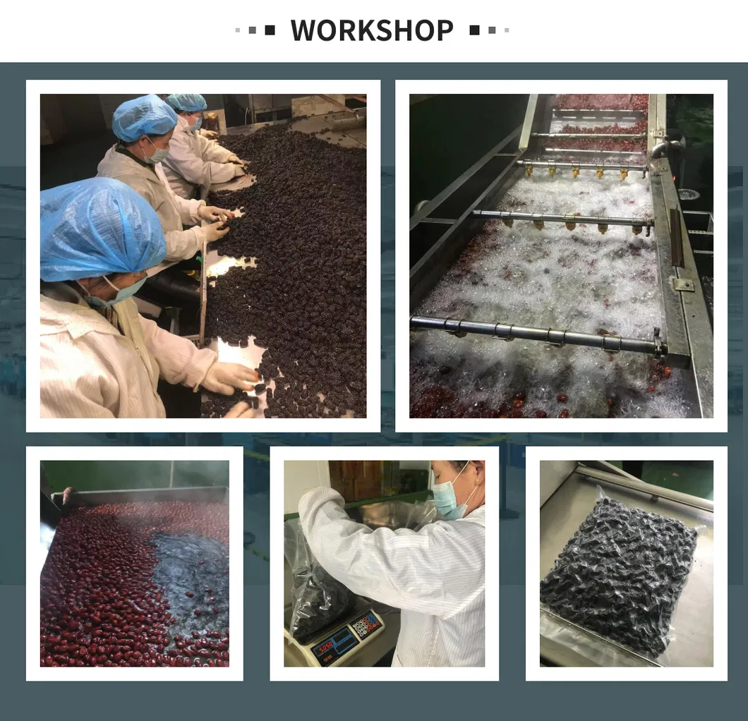 Factory Supply High Quality Dried Xinjiang Hotan Red Dates/Jujube for Mommy and Children