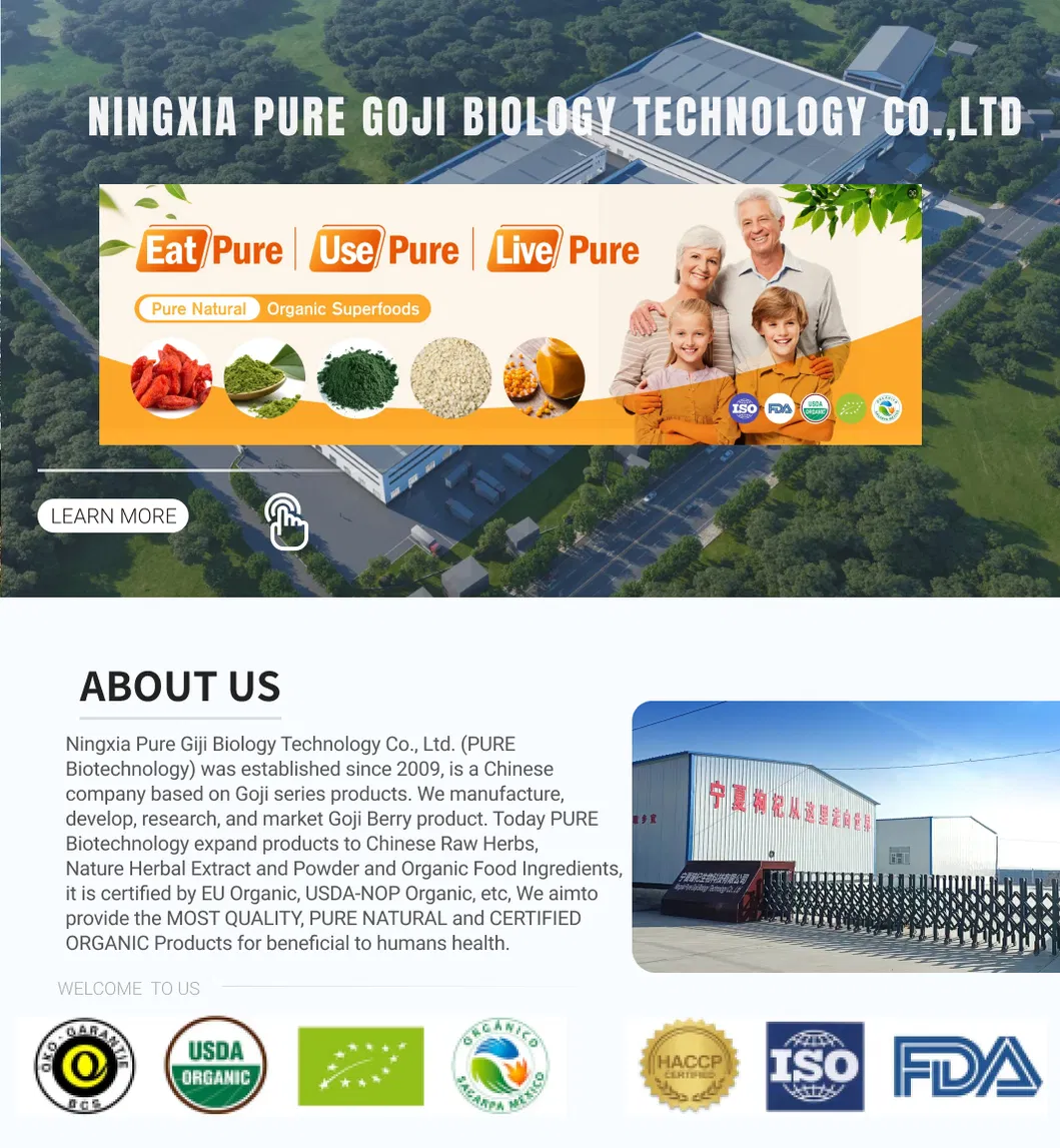 Factory Supply High Quality Dried Xinjiang Hotan Red Dates/Jujube for Mommy and Children