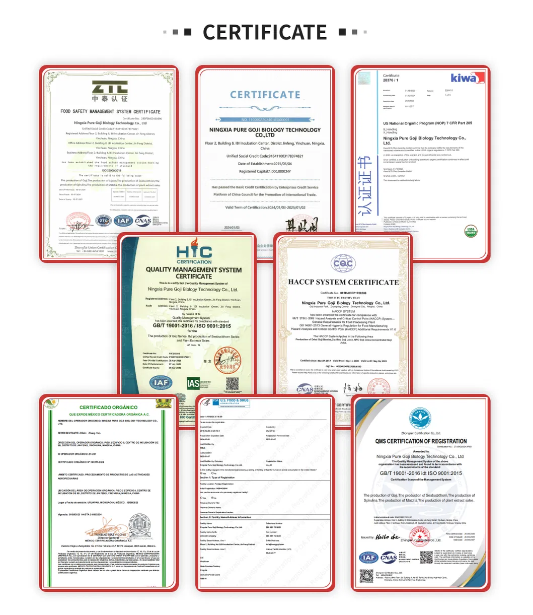 Factory Supply High Quality Dried Xinjiang Hotan Red Dates/Jujube for Mommy and Children