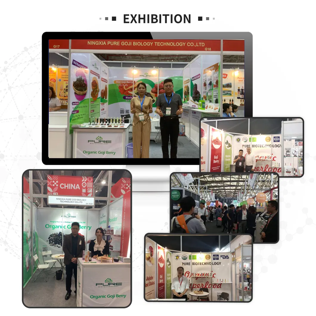 Factory Supply High Quality Dried Xinjiang Hotan Red Dates/Jujube for Mommy and Children