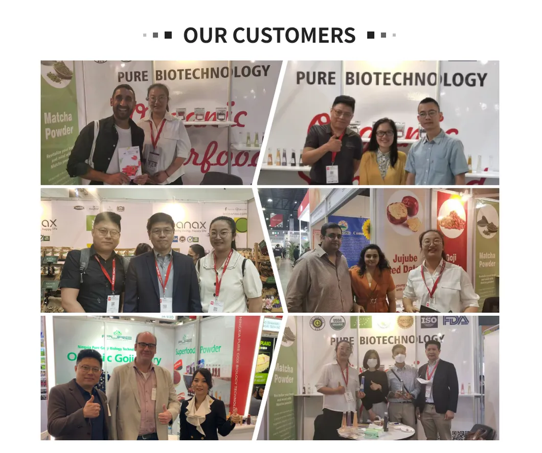 Factory Supply High Quality Dried Xinjiang Hotan Red Dates/Jujube for Mommy and Children