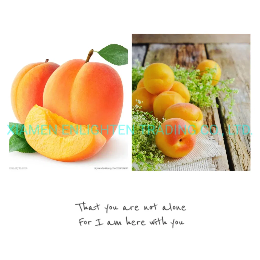 Healthy Fresh 3000g Rock Sugar Luxury Yellow Peach Catering Food Can Fruit