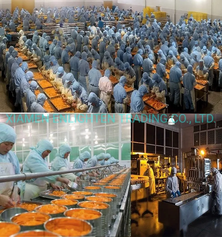 Healthy Fresh 3000g Rock Sugar Luxury Yellow Peach Catering Food Can Fruit