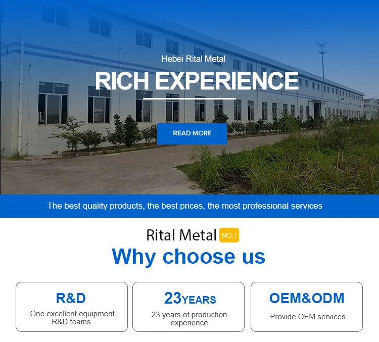 Large Single Door Humane Catch and Release Live Animal Trap for Raccoons Cats Small Dogs Groundhogs Opossums Foxes