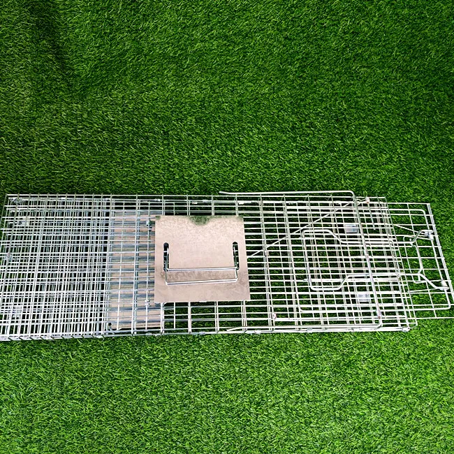 Large Single Door Humane Catch and Release Live Animal Trap for Raccoons Cats Small Dogs Groundhogs Opossums Foxes