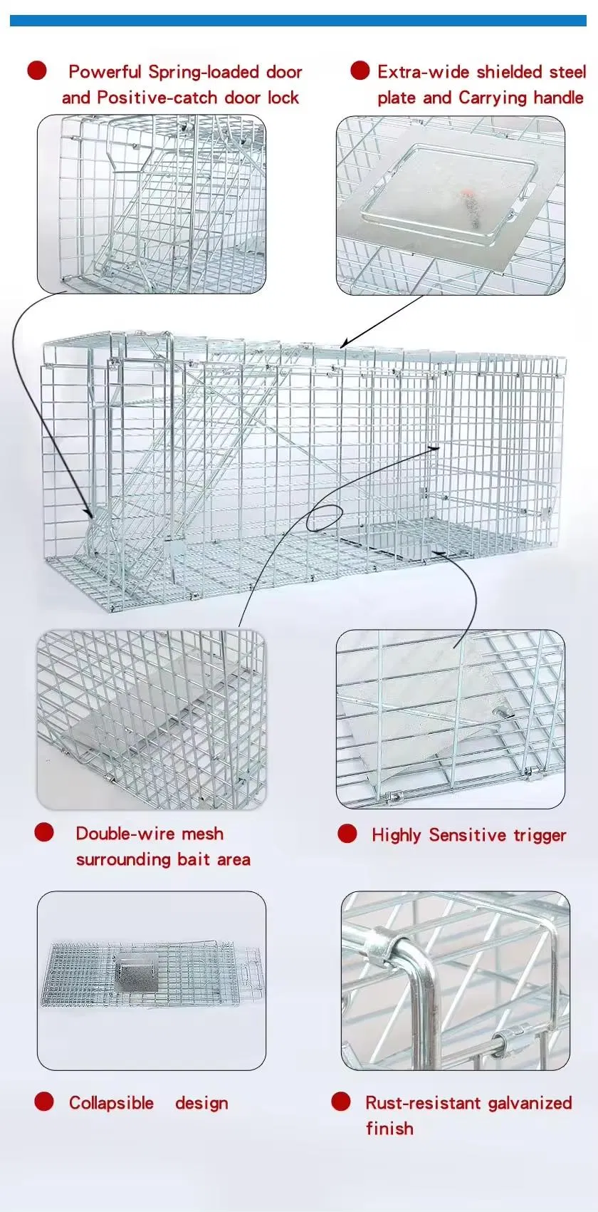 Large Single Door Humane Catch and Release Live Animal Trap for Raccoons Cats Small Dogs Groundhogs Opossums Foxes
