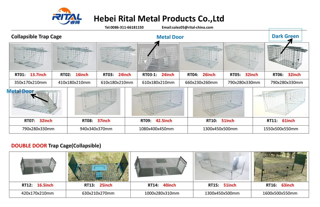 Large Single Door Humane Catch and Release Live Animal Trap for Raccoons Cats Small Dogs Groundhogs Opossums Foxes