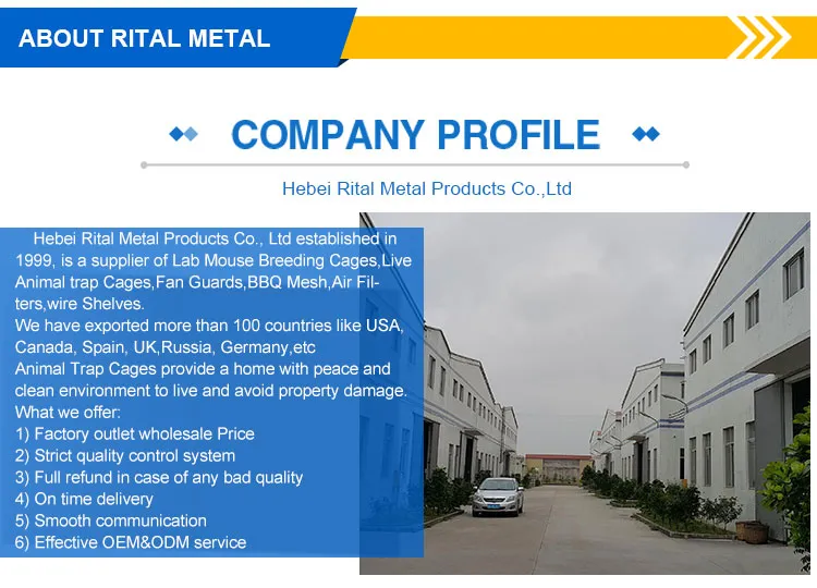 Large Single Door Humane Catch and Release Live Animal Trap for Raccoons Cats Small Dogs Groundhogs Opossums Foxes