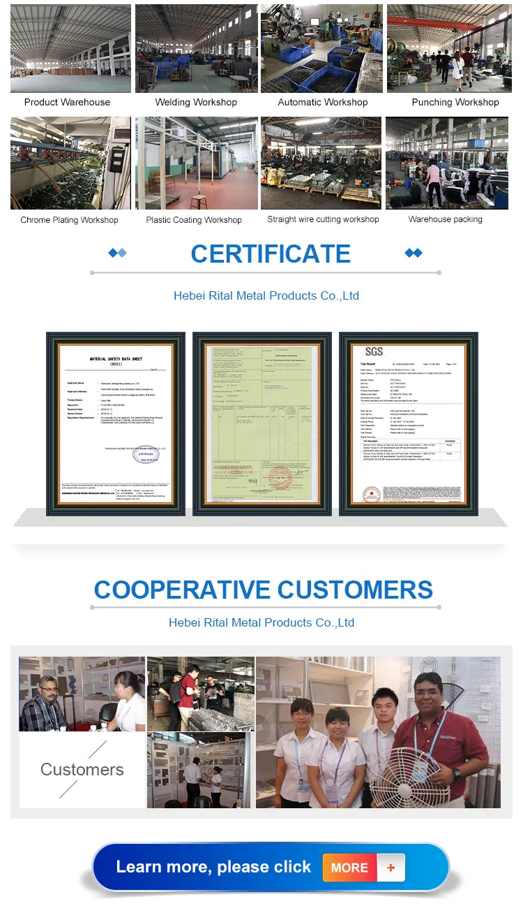 Large Single Door Humane Catch and Release Live Animal Trap for Raccoons Cats Small Dogs Groundhogs Opossums Foxes