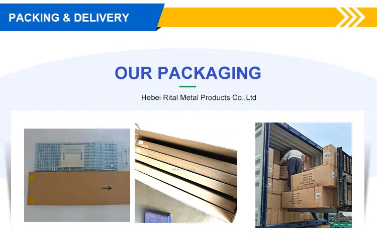 Large Single Door Humane Catch and Release Live Animal Trap for Raccoons Cats Small Dogs Groundhogs Opossums Foxes