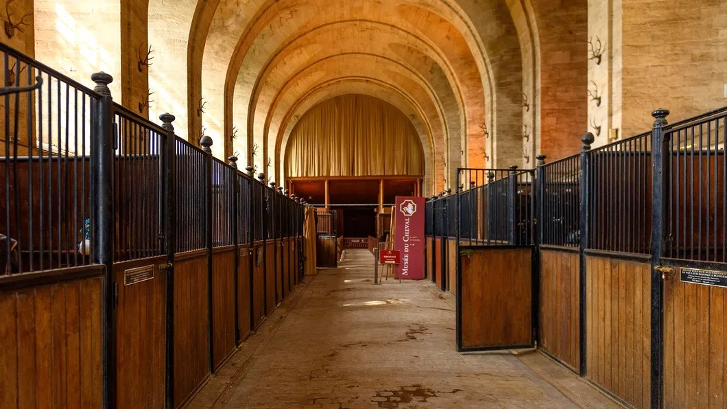 Outdoor Horse Stable Horse Stable Horse Boxes