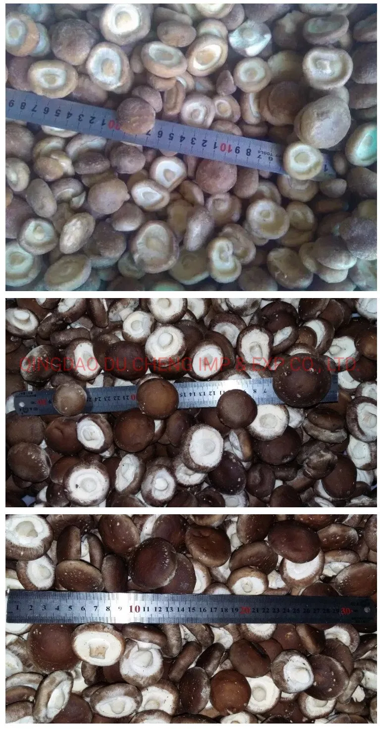 IQF Buyers Price Frozen Shiitake Mushroom for Sale