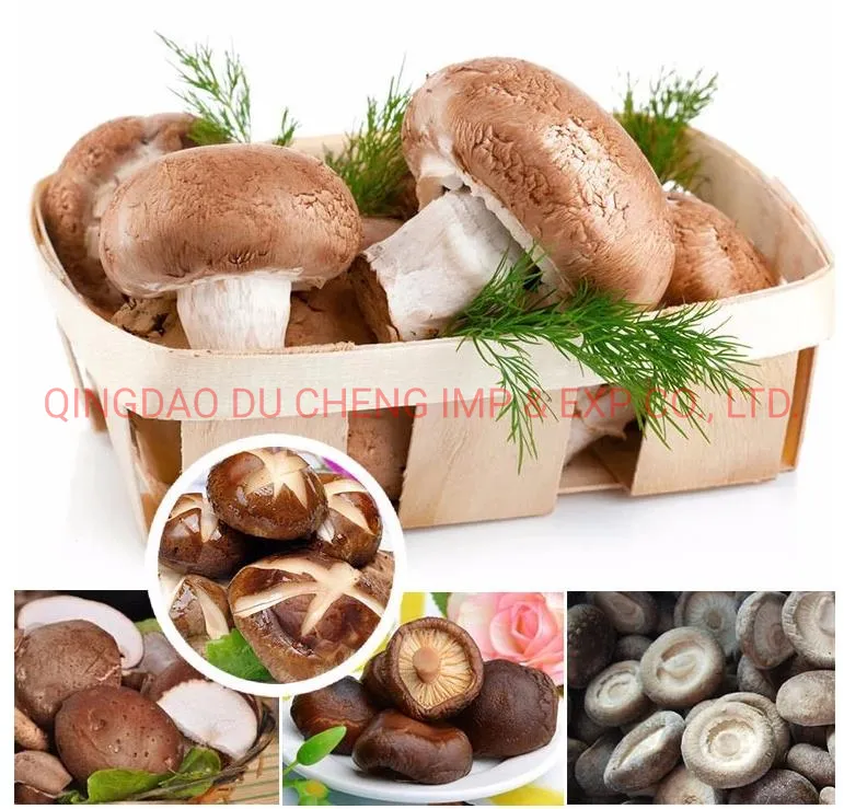 IQF Buyers Price Frozen Shiitake Mushroom for Sale