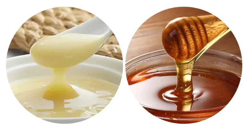 Beehall Organic Food Manufacturer Beauty Products Wholesale Honey with Royal Jelly