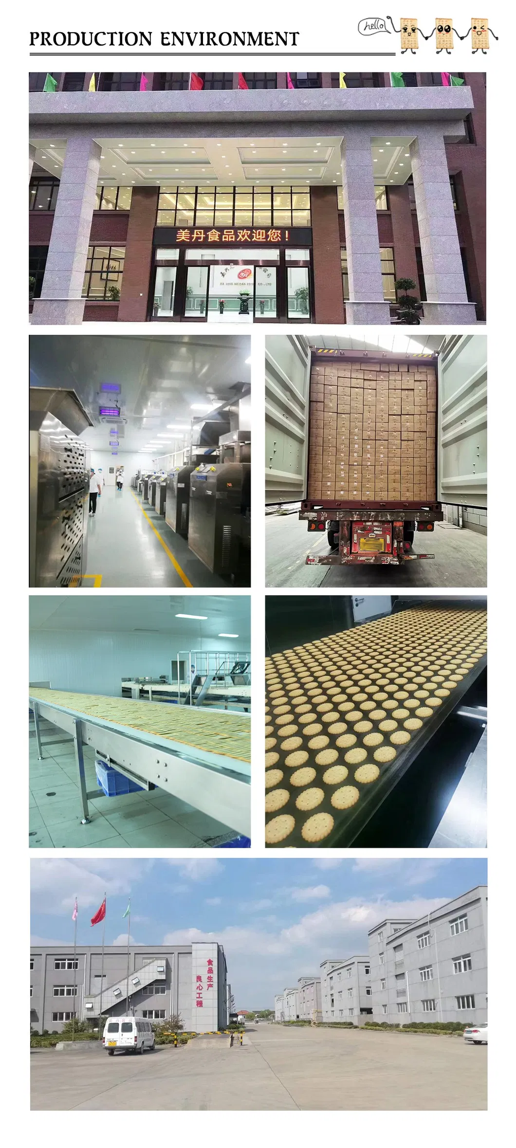 200g Sugar Free Calcium Biscuit Salty Soda Cracker Manufacturer